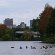 River, ramp, skyline, trees