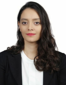 Parisa Hajirahimi