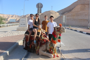 Camel